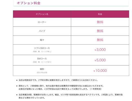 青山翔輝(ｱｵﾔﾏｼｮｳｷ) おもちゃオプション