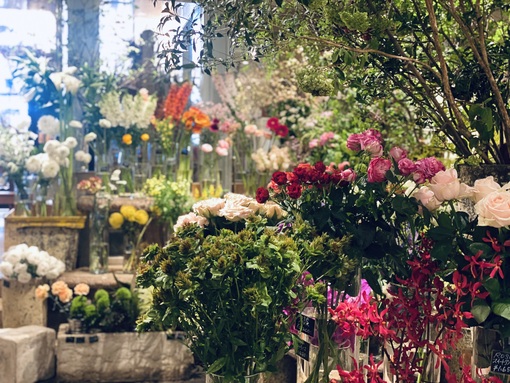 HARU(ﾊﾙ) 心安らぐ場所❁